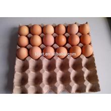 In may the 30 holes egg carton promotion price lowest